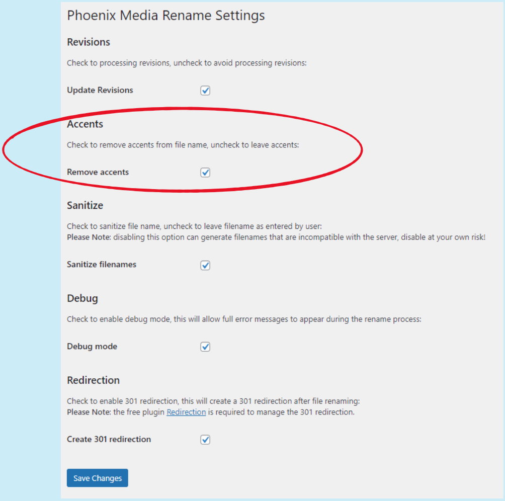 Phoenix Media Rename settings page: setting for accents