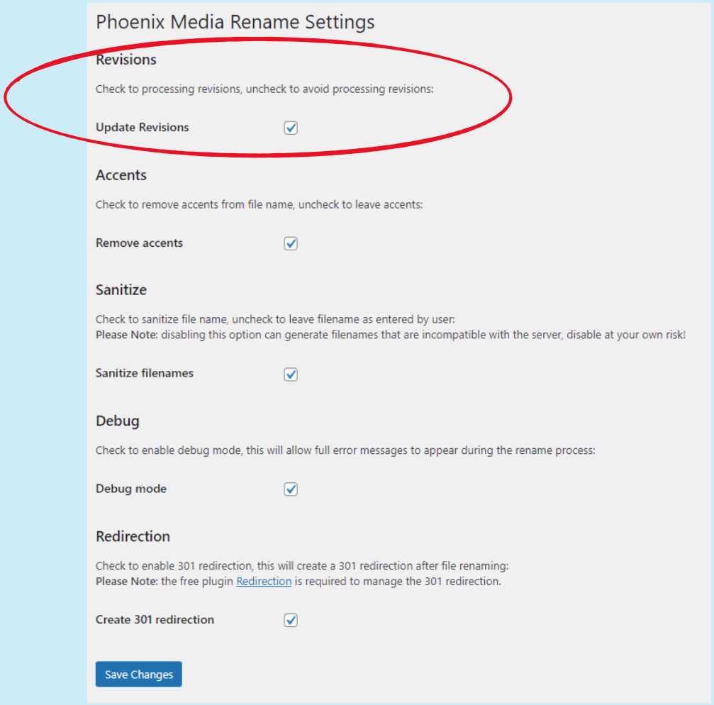 Phoenix Media Rename settings page: setting for revisions processing