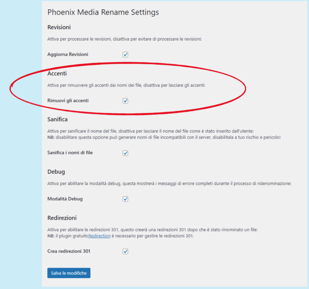la pagina delle impostazioni di Phoenix Media Rename: impostazione per gli accenti