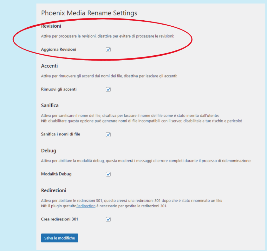 la pagina delle impostazioni di Phoenix Media Rename: impostazione per le revisioni